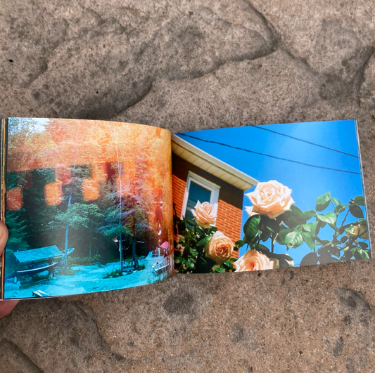 Reaching for the Sky Book