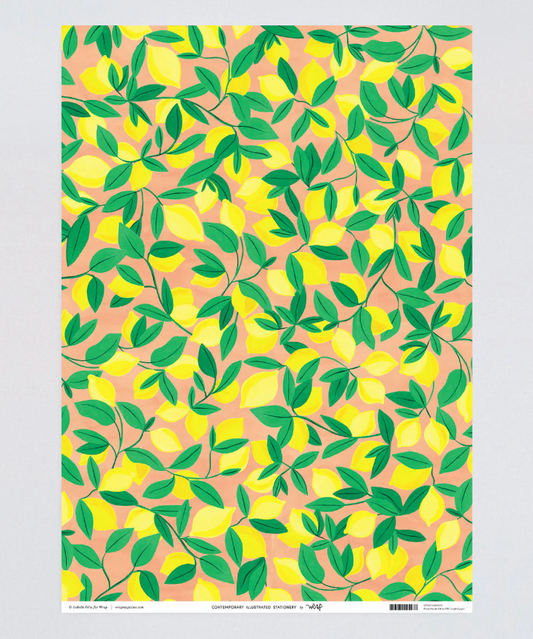 Wrapping Paper Sheets