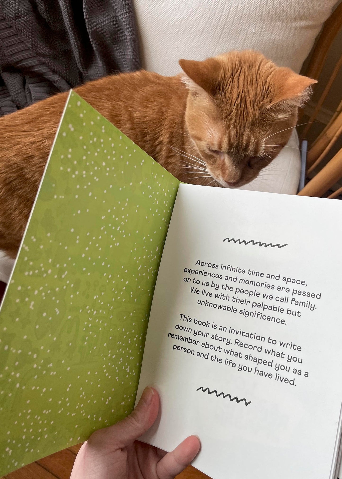 Guided Journal- Stories We Tell