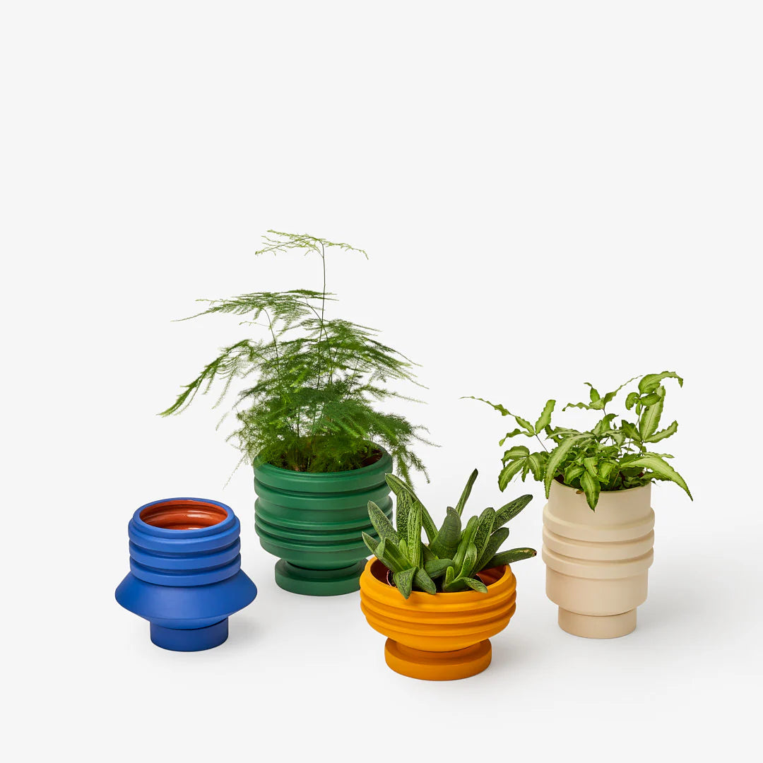 Strata Plant Vessel - Cream