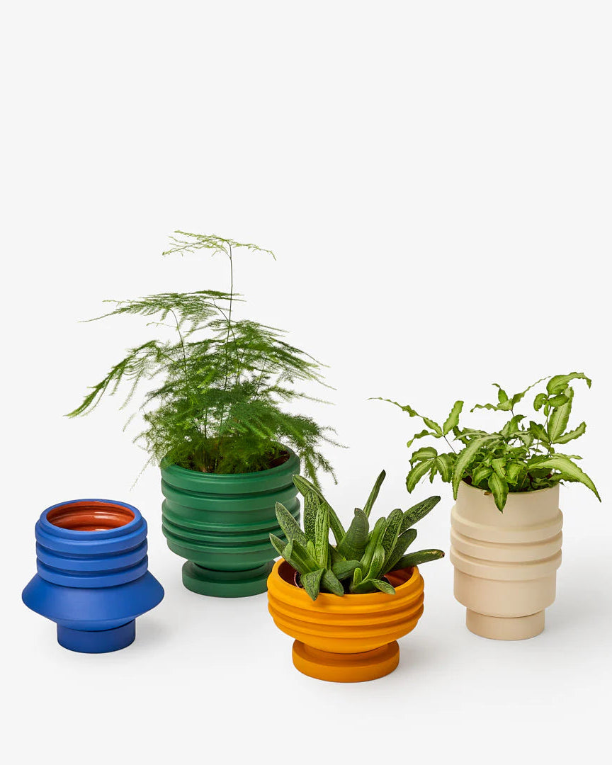 Strata Plant Vessel — Cream