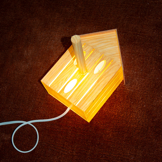 Bird House Light Sculpture