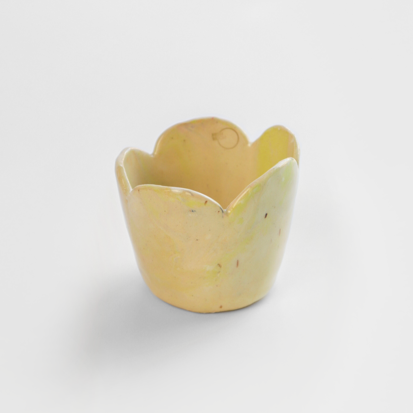 Friendship Cup