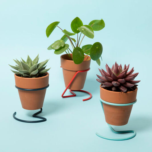 Wire Plant Pot - Slate Grey