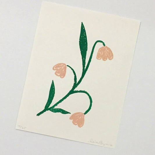 Leia Bryans Drawings