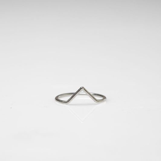 Dart Ring