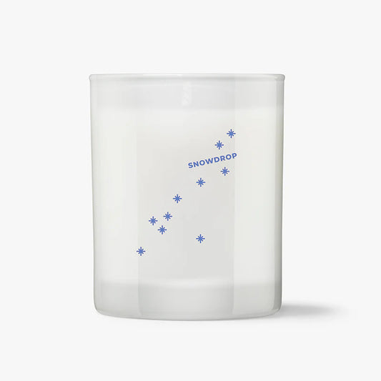 Snowdrop - Wild Ivy & Mint