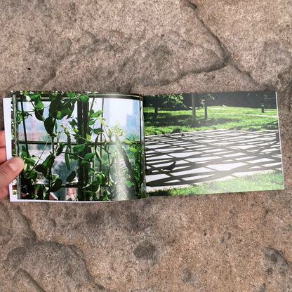 Reaching for the Sky Multimedia Photography Book