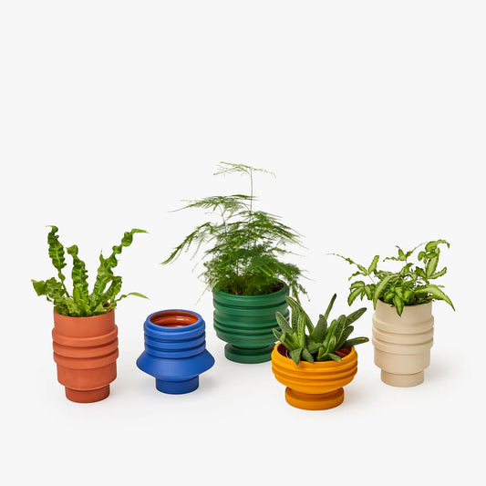Strata Plant Vessel