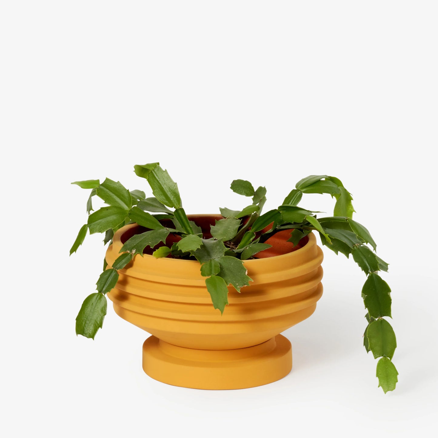 Strata Plant Vessel - Yellow