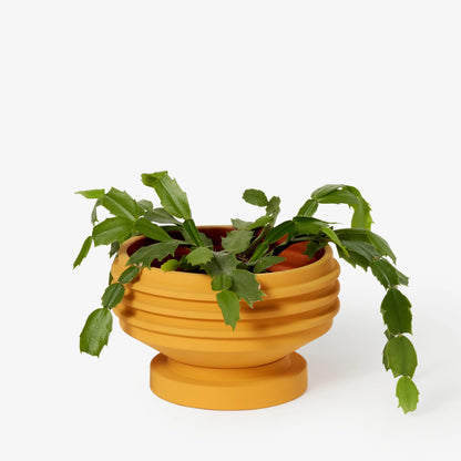 Strata Plant Vessel - Yellow