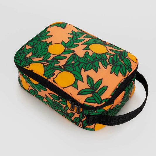 Lunch Box – Orange Tree Coral