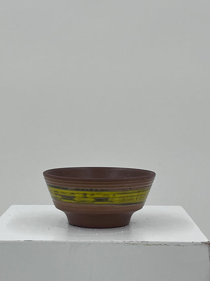 Wooden Fruit + Ceramic Bowl Set #29