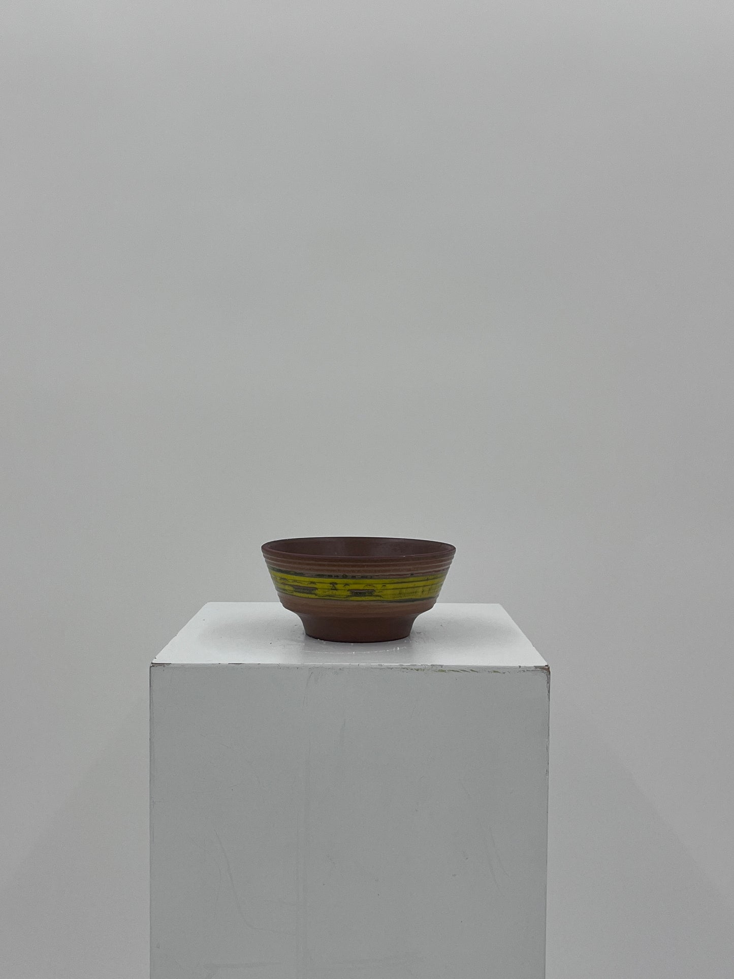 Wooden Fruit + Ceramic Bowl Set #29