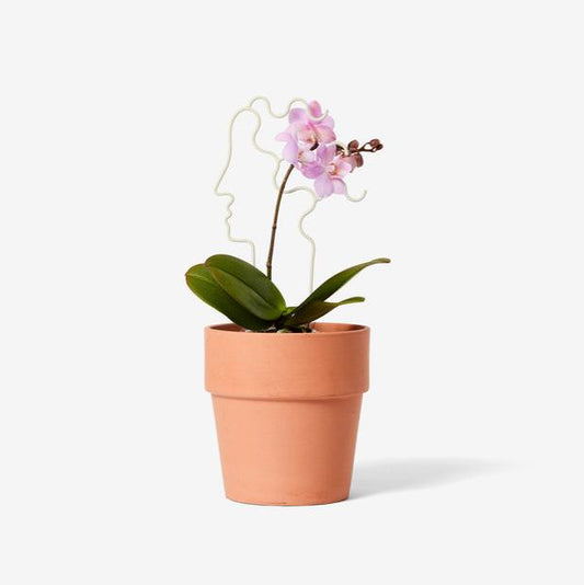 Plant Trellis - Human (Mini)