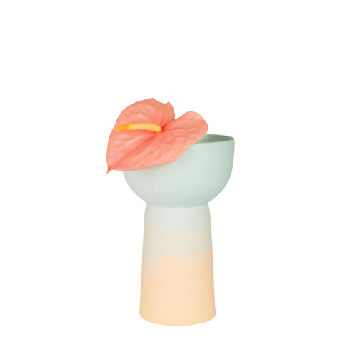 Peaches - Pedestaled Bowl